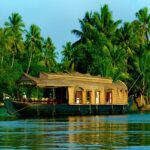 Exploring Kerala: Top 10 Things to Do in Kerala, “Eat and Stay”