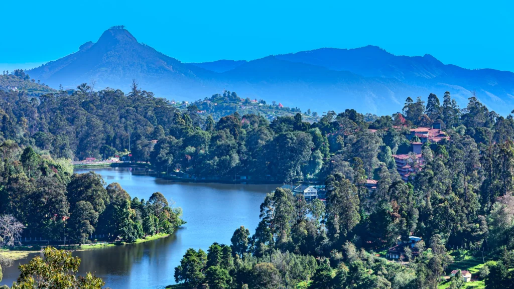 Top 10 Things to Do in Kodaikanal