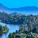 Exploring Kodaikanal: Top 10 Things to Do in Kodaikanal, “Eat and Stay”